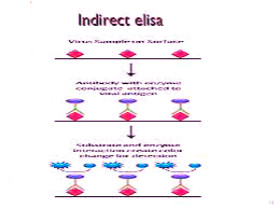 indirect ELISA _meitu_5