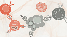 Advance Your Immunology Research