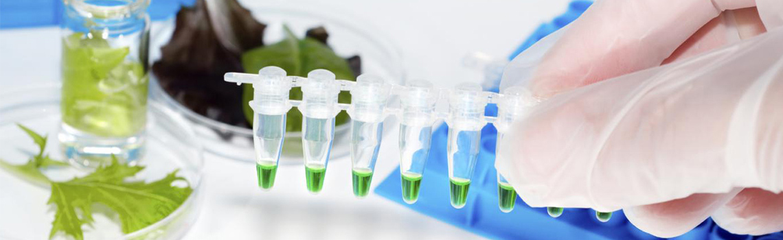 Food Safety ELISA Kits