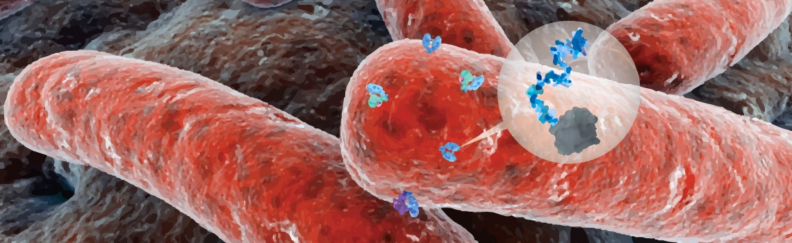 M. Tuberculosis Antigens