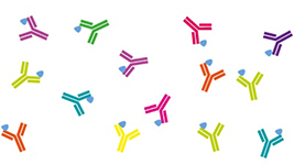 RHAâ„¢ Small Molecule Antibodies