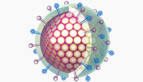 Influenza Vaccine Research