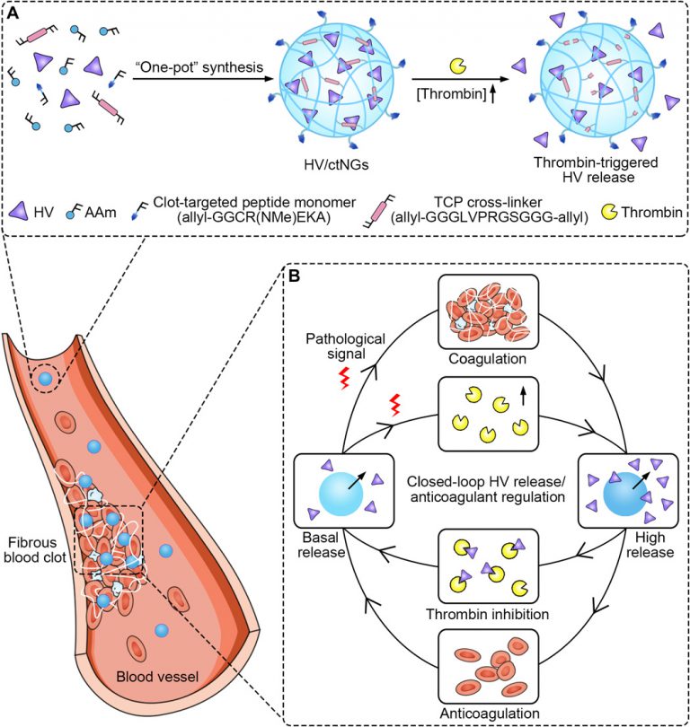 Application Research of Natural Hirudin Creative Diagnostics