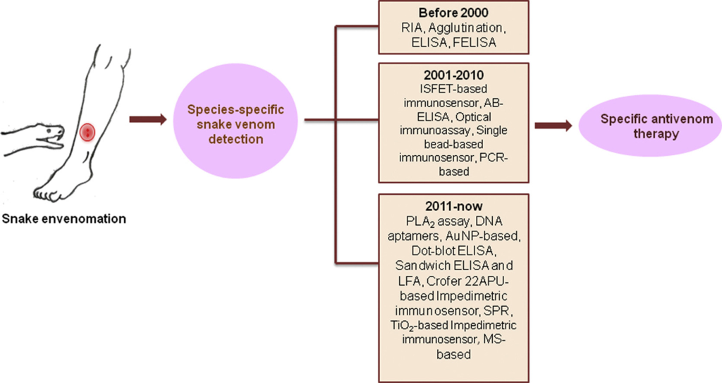 Research on Snake Venom Detection Methods - Creative Diagnostics