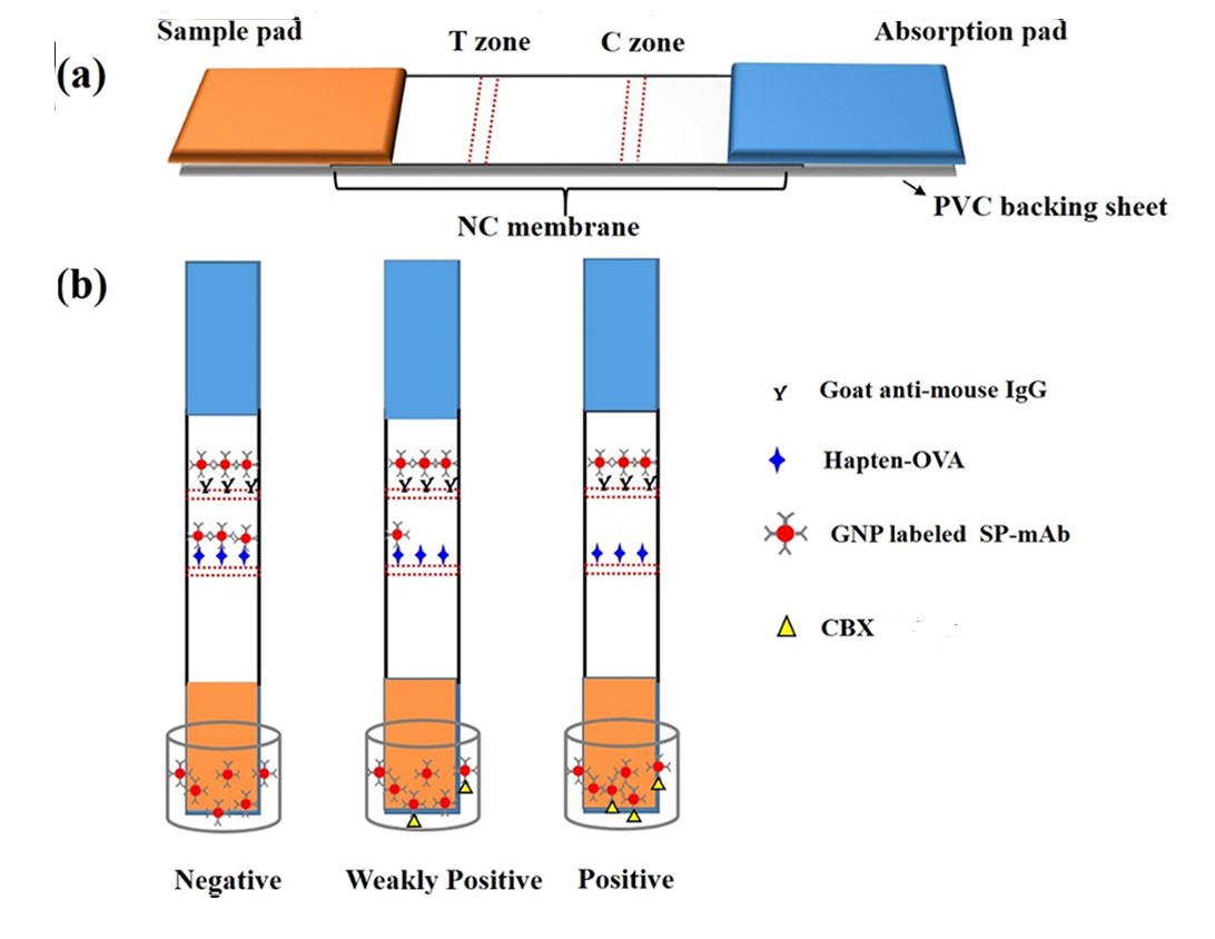 Carbadox Screen Test Creative Diagnostics