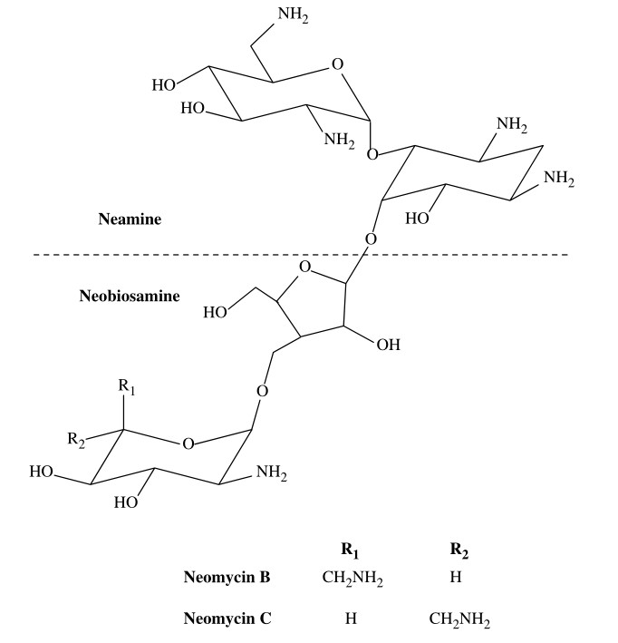 Neomycin Antibodies & Antigens Creative Diagnostics
