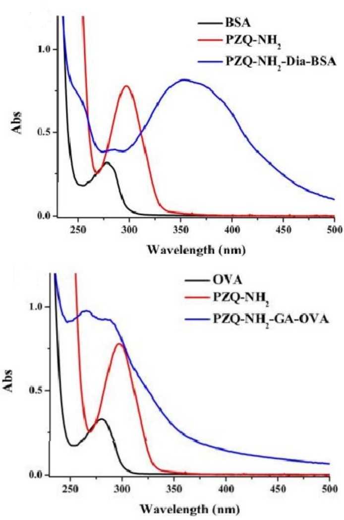Praziquantel Antibodies & Antigens Creative Diagnostics