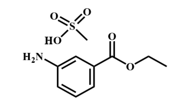 Tricaine Antibodies & Antigens - Creative Diagnostics