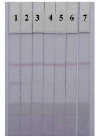 Tricaine Screen Test - Creative Diagnostics