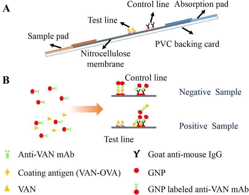 Screen Test Creative Diagnostics
