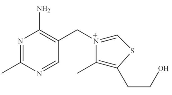The chemical structure of thiamine