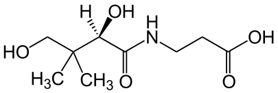 The chemical structure of Pantothenic Acid