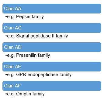 Families and clans of aspartic proteases