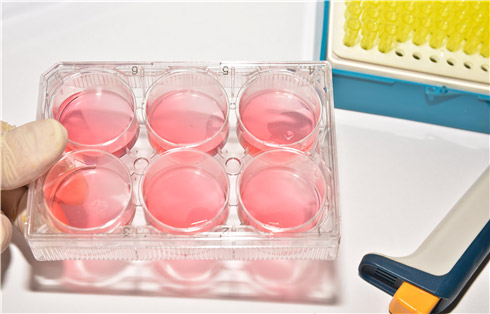 Cell Experiment
