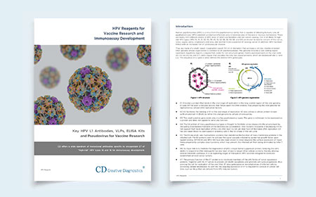 HPV Reagents for Vaccine Research and Immunoassay Development