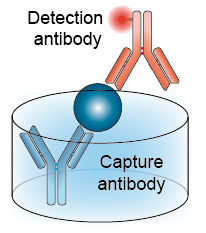 Matched antibody pair