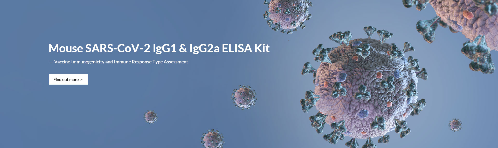 Mouse SARS-CoV-2 IgG1 & IgG2a ELISA Kit