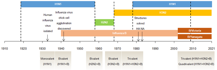The development of influenza vaccine