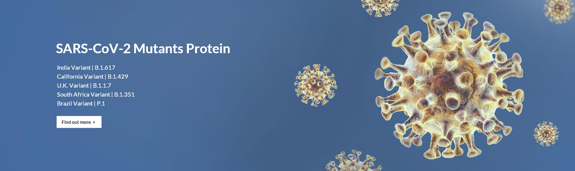 SARS-CoV-2 Mutants Protein