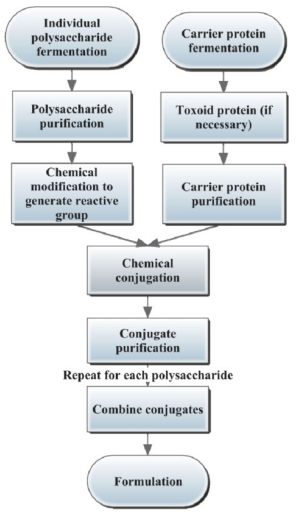 A typical process for production of a multivalent conjugate vaccine