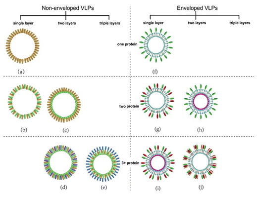 A schematic diagram of the classification of virus-like particles