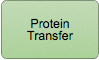 Protein Transfer