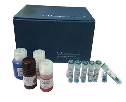 ELISA Kits for Pharmacokinetics Studies of Protein Drugs