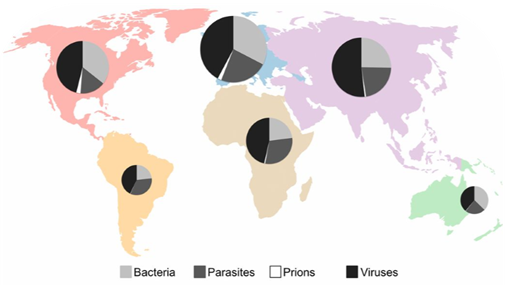 Geographic distribution of disease agents