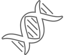 Custom Protein Arrays