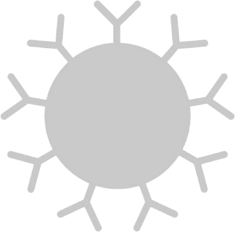 Laser Confocal Chip Scanner