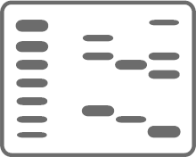 Protein-Protein Interaction Studies