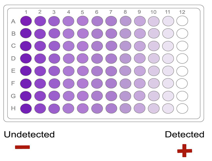 EnzymeSubstrate Reaction in ELISA Creative Diagnostics