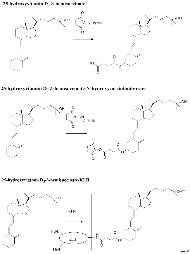 25hydroxyvitaminD3KLH Conjugation Service Creative Diagnostics