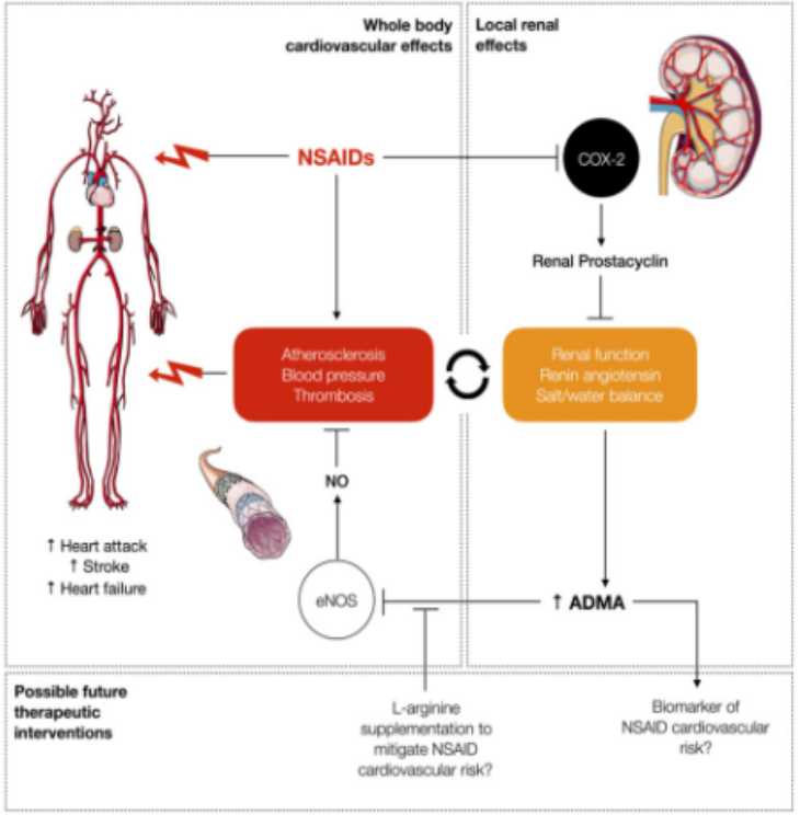 Bioactive Lipids and Receptors Creative Diagnostics