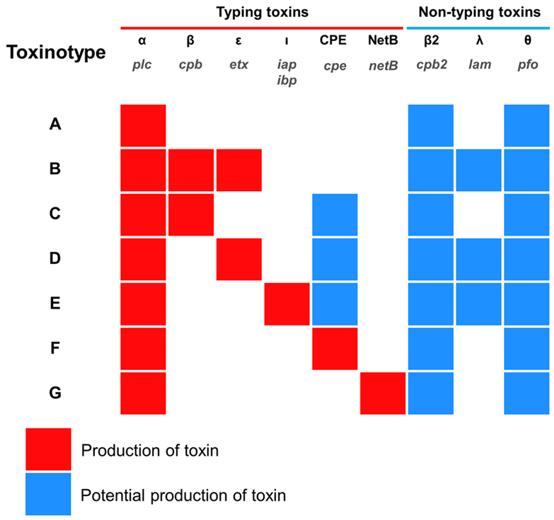 Clostridium perfringens Antigens - Creative Diagnostics