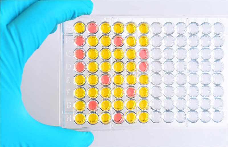 Protocol for measuring protein concentration using absorbance at 280nm