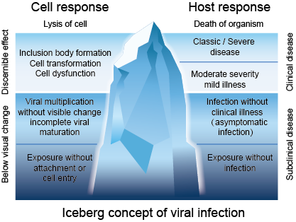 Iceberg concept of viral infection
