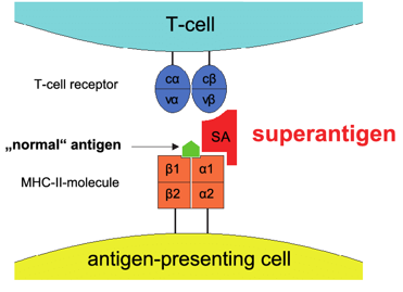 Virus-like Particle (VLP) Antigen Production Service - Creative Diagnostics