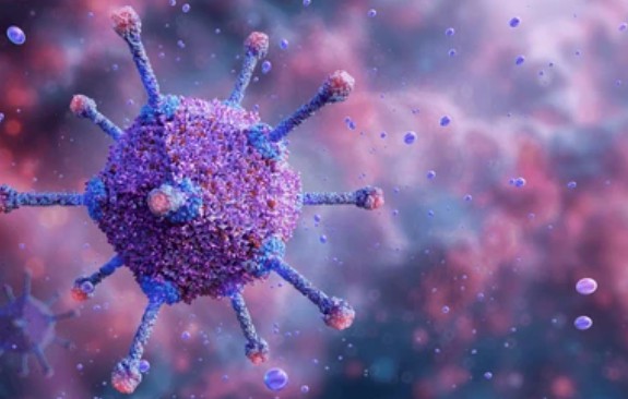 AAV Neutralizing Antibody Detection ELISA Kits - Creative Diagnostics