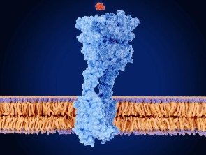 Regulating salt and water metabolism