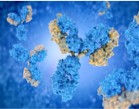 Monoclonal Antibodies