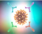 Polyclonal Antibodies