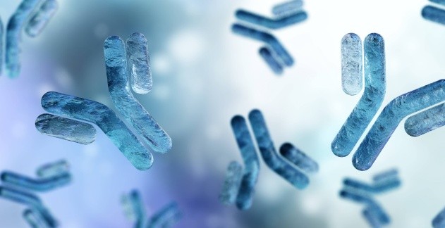 Monoclonal Antibody Production