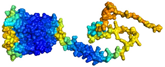 Transmembrane Proteins Antibody Production