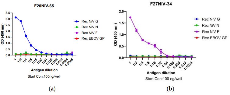 Two-fold diluted recombinant and purified NiV G, N, F, and EBOV GP were coated onto ELISA plates. (Zhu W, <i>et al</i>, 2024)