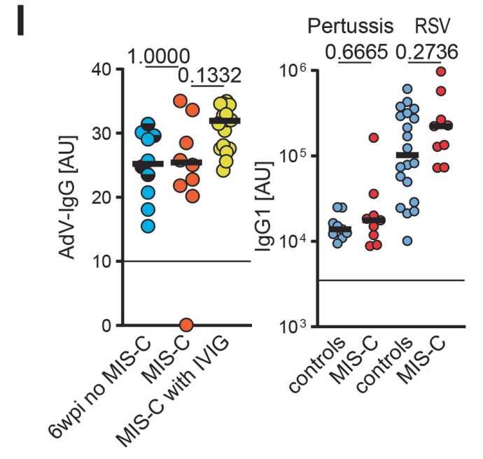 Antibody tires for anti-Adenovirus-IgG was compared between MIS-C patients (n=9, of which 8 had a positive titre), children six weeks p.i. who did not develop MIS-C (n=10) and MIS-C patients treated with IVIG (n=15) from the Berlin cohort.  (Goetzke, C. C., <i>et al</i>, 2025)