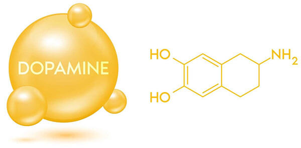 Dopamine.