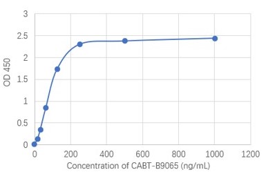 CABT-B9065 ELISA Titer