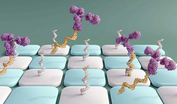 Highly Sensitive Drug Residues ELISA - Creative Diagnostics
