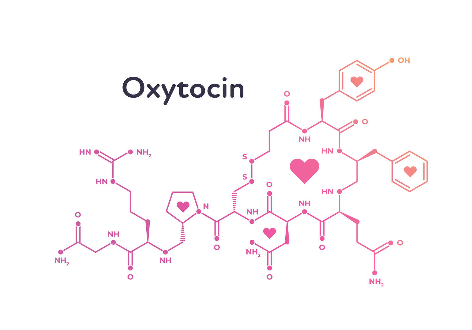 Highly Sensitive Oxytocin Enzyme Immunoassay Kit: Empowering Neuroendocrine  and Behavioral Research - Creative Diagnostics